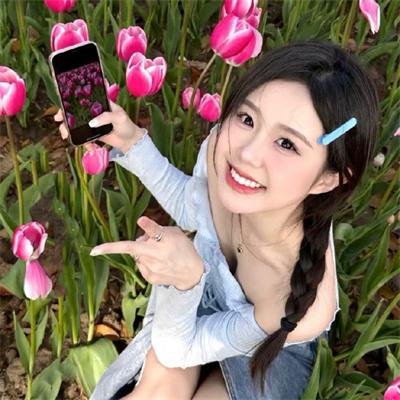 我私人的爱达荷